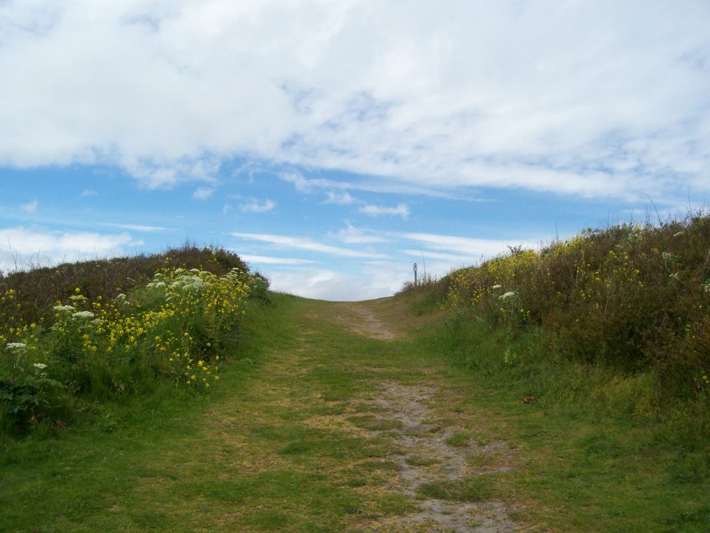 photograph of path at Fort Casey, WA